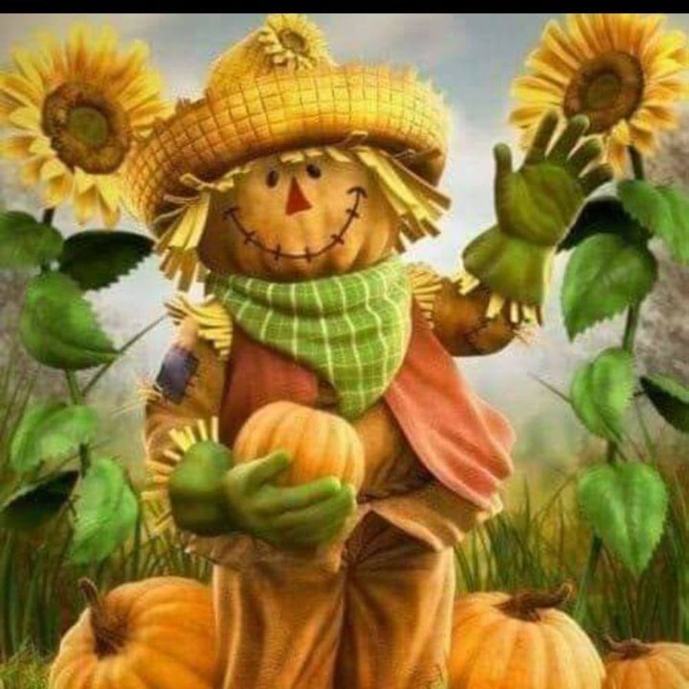 Meet your Posher, Cindi